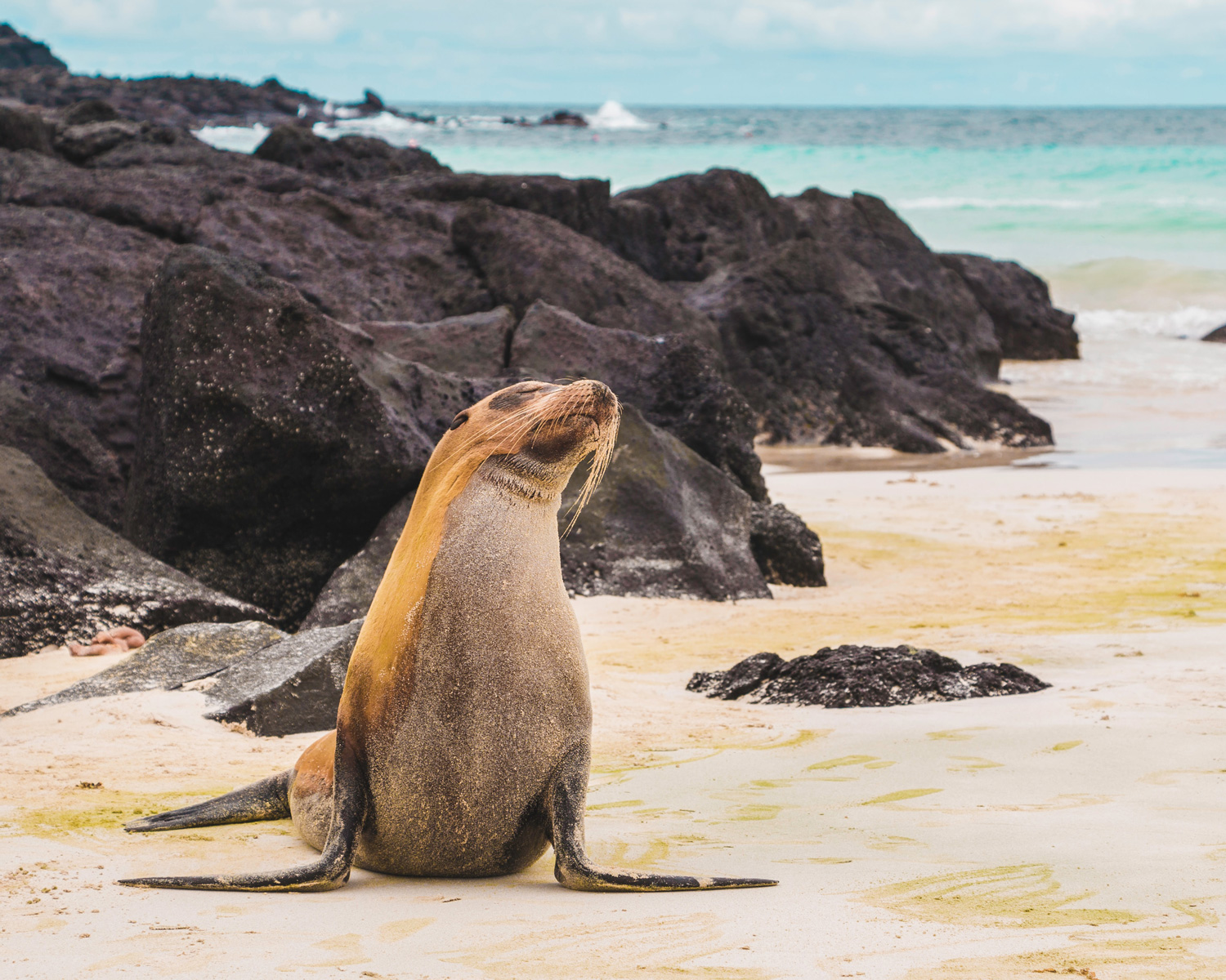 galápagos pg travel wholesaler