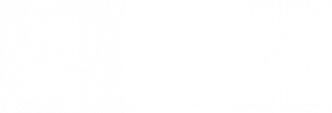 logo pg wholesaler blanco
