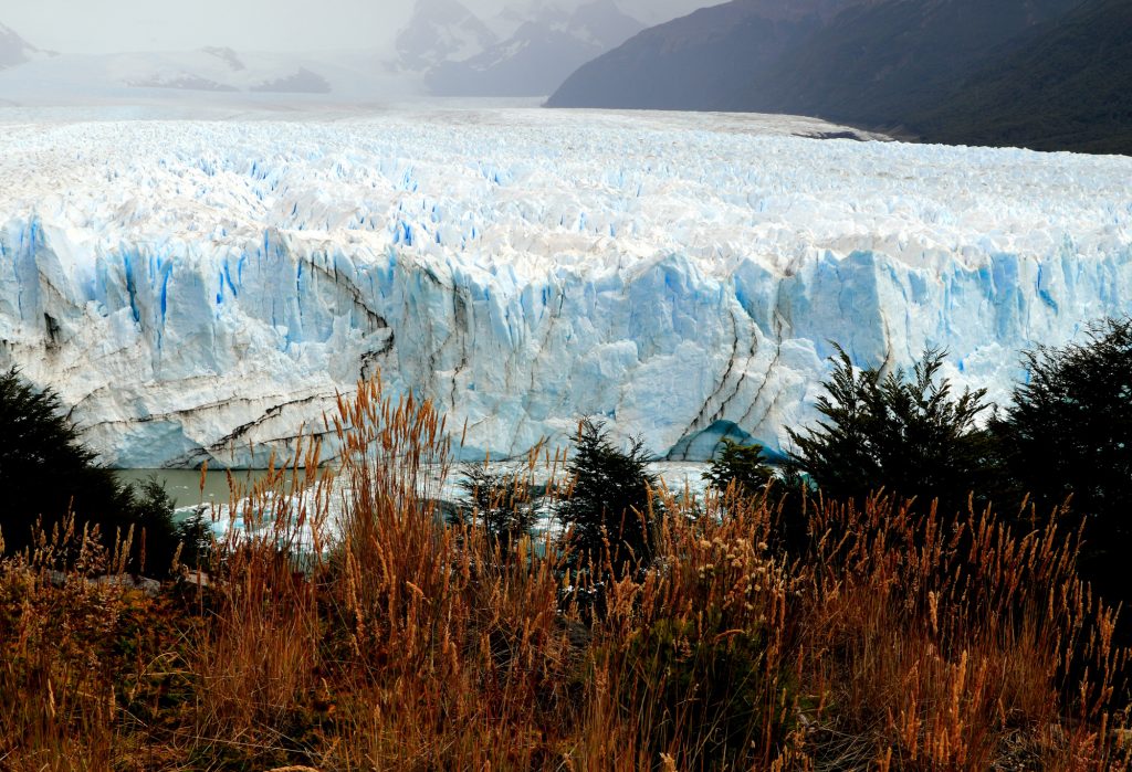 calafate Ushuaia argentina pg travel wholesaler