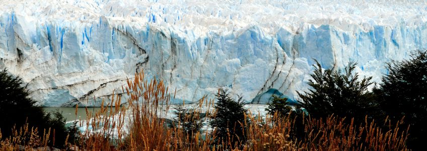 calafate Ushuaia argentina pg travel wholesaler