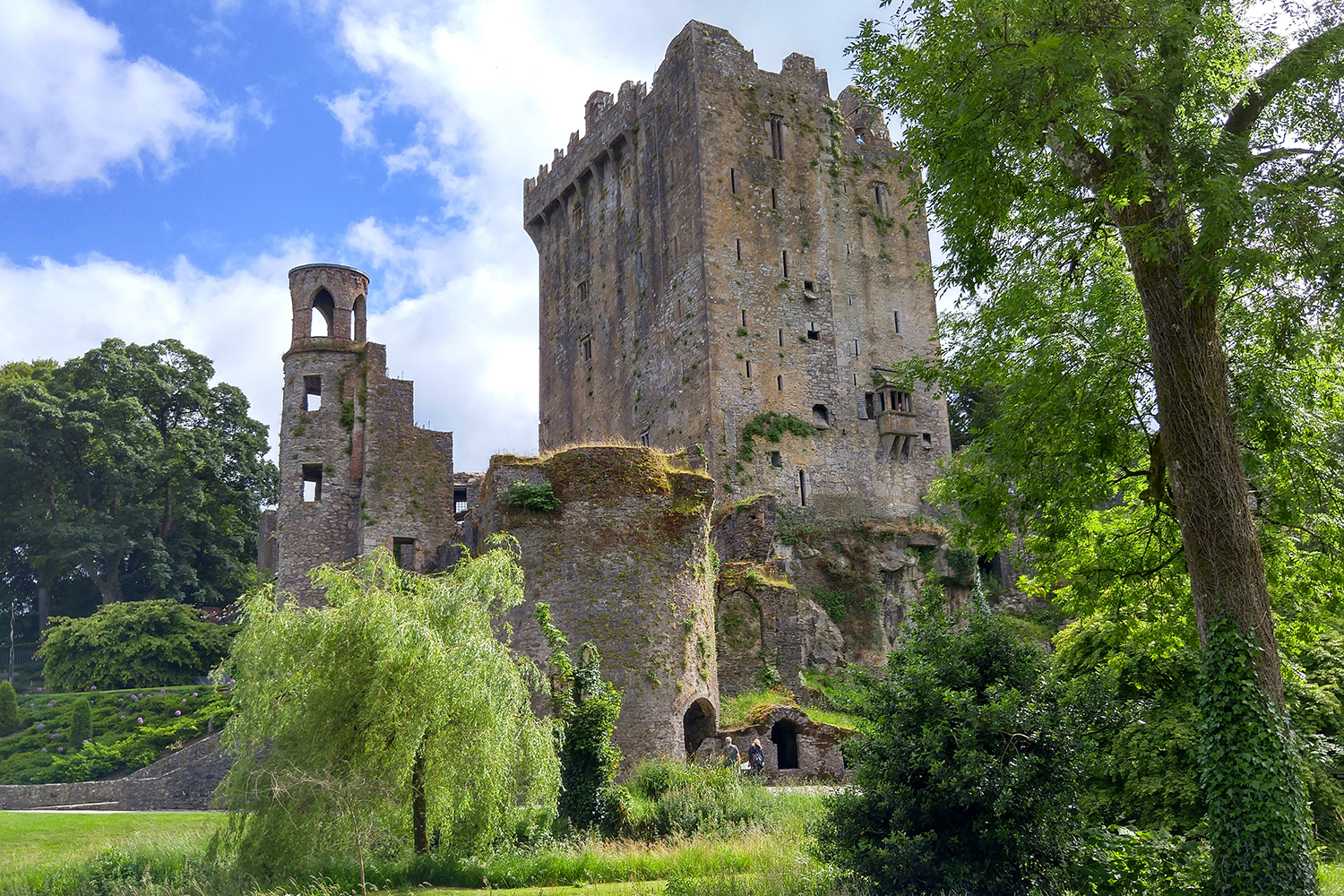 blarney ireland pg travel wholesaler